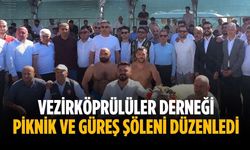Vezirköprülüler Derneği piknik ve güreş şöleni düzenledi