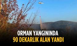 Orman yangınında 90 dekarlık alan zarar gördü