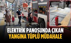 Elektrik panosunda çıkan yangına tüplü müdahale