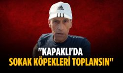 "Kapaklı'da sokak köpekleri toplansın"