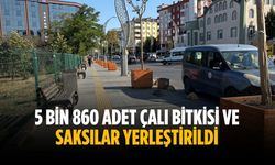 5 bin 860 adet çalı bitkisi ve saksılar yerleştirildi
