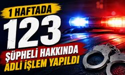1 haftada 123 şüpheli hakkında adli işlem yapıldı
