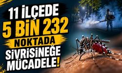 11 ilçede 5 bin 232 noktada sivrisineğe mücadele