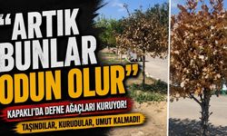 “Artık bunlar odun olur”