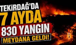 Tekirdağ’da 7 ayda 830 yangın meydana geldi