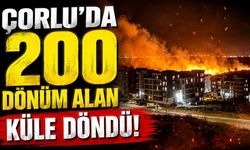 Çorlu'da 200 dönüm alan küle döndü