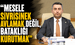 “Mesele sivrisinek avlamak değil, bataklığı kurutmak”