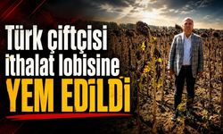 "Türk çiftçisi ithalat lobisine yem edildi"