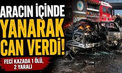 Aracın içinde yanarak can verdi