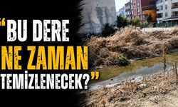 “Bu dere ne zaman temizlenecek?”