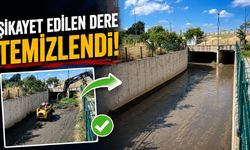 Şikayet edilen dere temizlendi