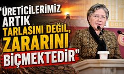 "Üreticilerimiz artık tarlasını değil, zararını biçmektedir”