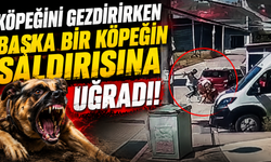 Köpeğini gezdirirken başka bir köpeğin saldırısına uğradı