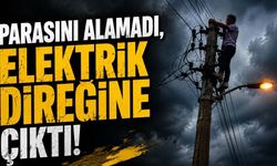 Parasını alamadı, elektrik direğine çıktı