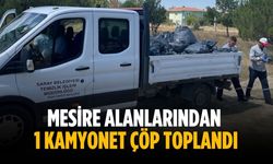 Mesire alanlarından 1 kamyonet çöp toplandı