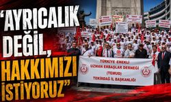 “Ayrıcalık değil, hakkımızı istiyoruz”
