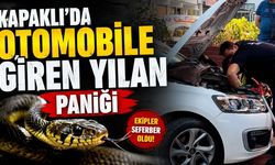 Kapaklı'da otomobile giren yılan paniği