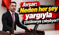 Avşar: Neden her şey yargıyla çözülmeye çalışılıyor?