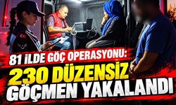 81 ilde göç operasyonu: 230 düzensiz göçmen yakalandı