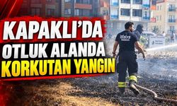 Kapaklı’da otluk alanda yangın paniği