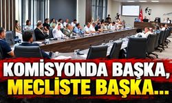 Komisyonda başka, mecliste başka...