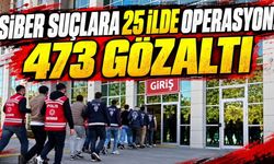 Siber suçlara 25 ilde operasyon: 473 Gözaltı