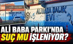 Kapaklı Belediyesi Ali Baba Parkı'nda suç mu işliyor?