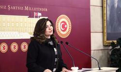 Selcan Taşçı: Tekirdağ vergide 7'inci, yatırımda 79'uncu