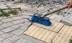 Kaldırımda görülen yılana süpürgeli müdahale