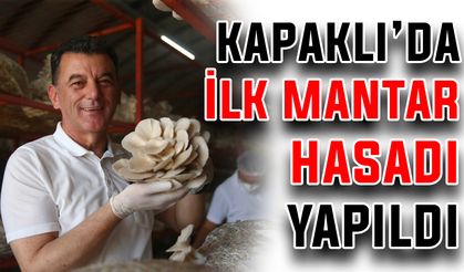 Kapaklı’da ilk mantar hasadı yapıldı