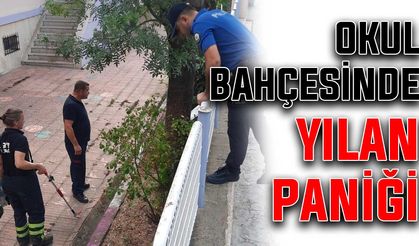 Okul bahçesinde yılan paniği