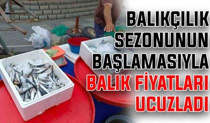 Balıkçılık sezonunun başlamasıyla balık fiyatları ucuzladı