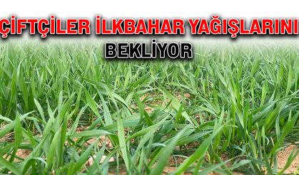 Çiftçiler ilkbahar yağışlarını bekliyor