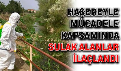 Haşereyle mücadele kapsamında sulak alanlar ilaçlandı