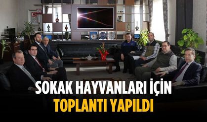 Sokak hayvanları için toplantı yapıldı