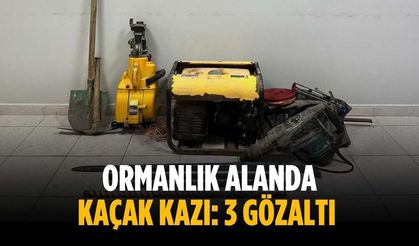 Ormanlık alanda kaçak kazı: 3 gözaltı
