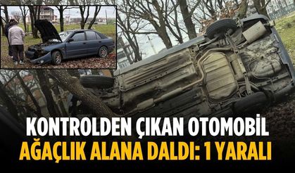 Kontrolden çıkan otomobil ağaçlık alana daldı: 1 yaralı