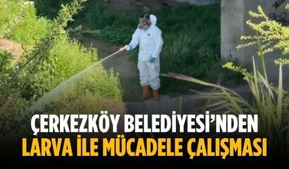 Çerkezköy Belediyesi’nden larva ile mücadele çalışması
