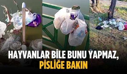 “Hayvanlar bile bunu yapmaz, pisliğe bakın”