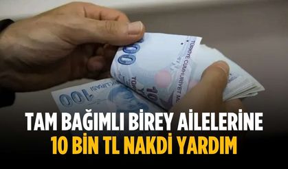 Tam bağımlı birey ailelerine 10 bin TL nakdi yardım