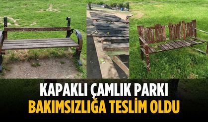 Kapaklı Çamlık Parkı bakımsızlığa teslim oldu
