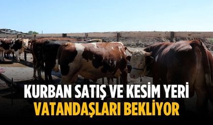 Kurban satış ve kesim yeri vatandaşları bekliyor