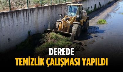 Derede temizlik çalışması yapıldı