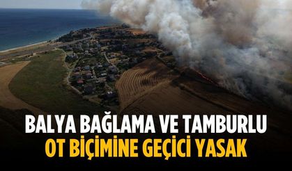 Balya bağlama ve tamburlu ot biçimine geçici yasak