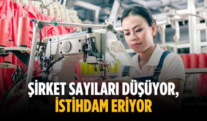 Şirket sayıları düşüyor, istihdam eriyor