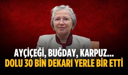 Ayçiçeği, buğday, karpuz... Dolu 30 bin dekarı yerle bir etti