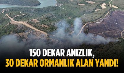150 dekar anızlık, 30 dekar ormanlık alan yandı!
