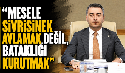 “Mesele sivrisinek avlamak değil, bataklığı kurutmak”
