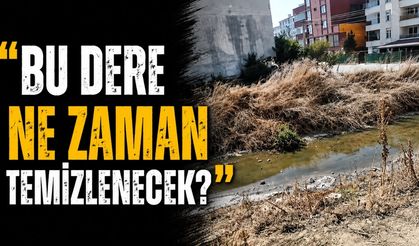 “Bu dere ne zaman temizlenecek?”