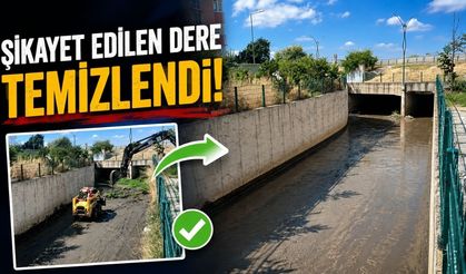 Şikayet edilen dere temizlendi